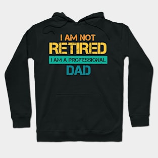 I am not retired I am a professional dad Hoodie